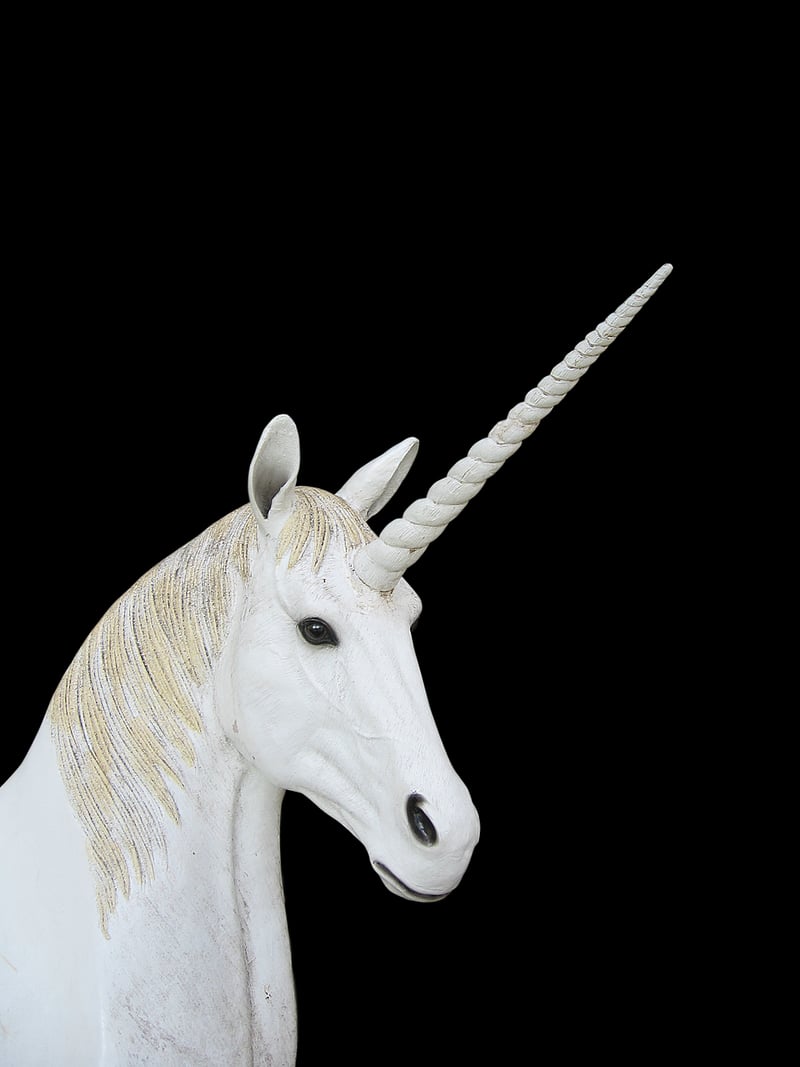 Unicorn Accessories